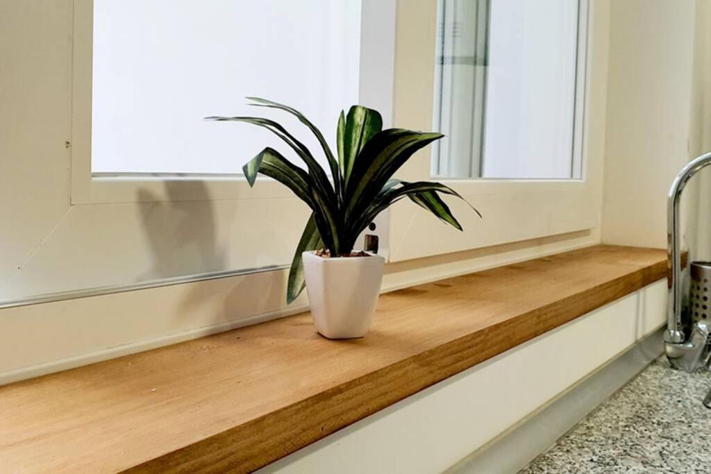 Apartamento Interior En El Absoluto Centro Ba الجيسايرس المظهر الخارجي الصورة